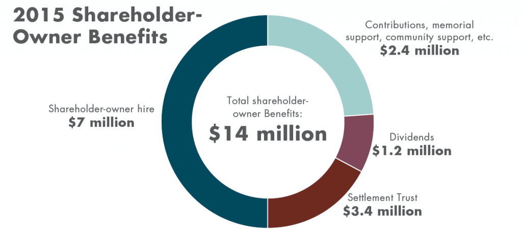Pie chart of 2015 Shareholder Owner Benefits