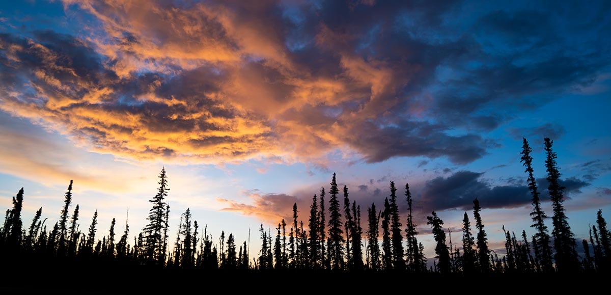 Photo of clouds during sunset, silhouette of forest trees.