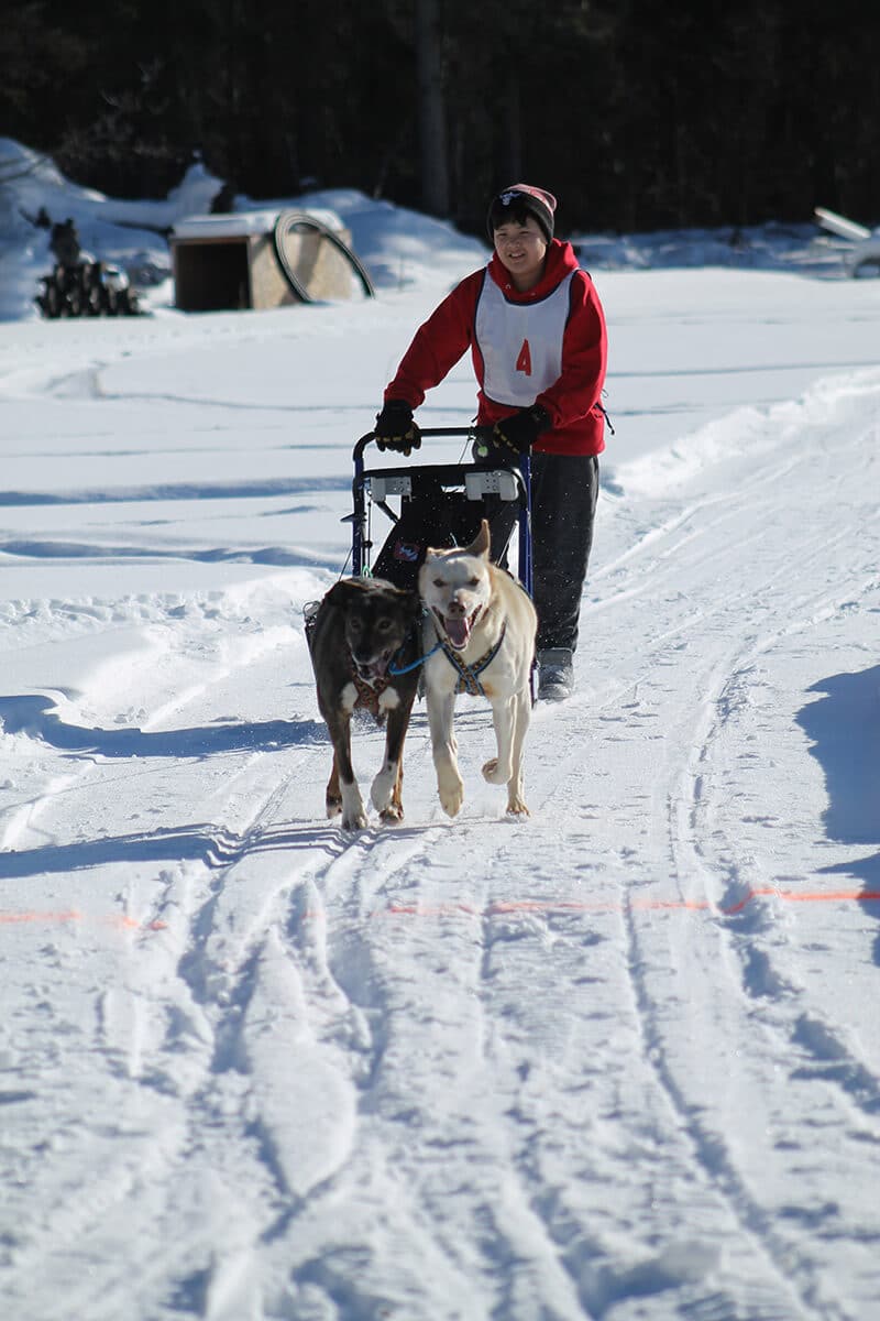 Young musher Keeghan Titus races the trail at Chistochina Fun Days 2016.