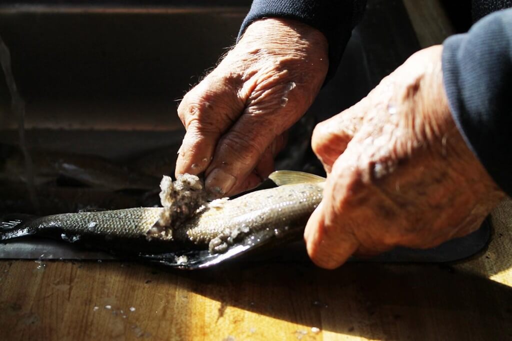 Close up of hands cleaning fish