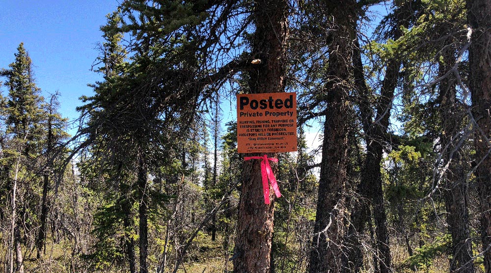 Photo of Ahtna lands and sign on a tree