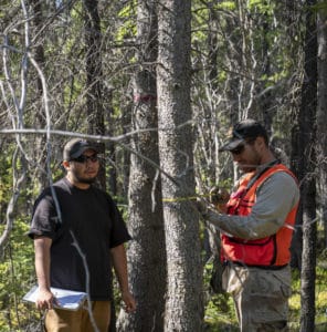 Bear Guard Josiah Stevens and Natural Resources Technician Scott DeBruyne take tree measurements on a Carbon Capture survey plot to track growth.