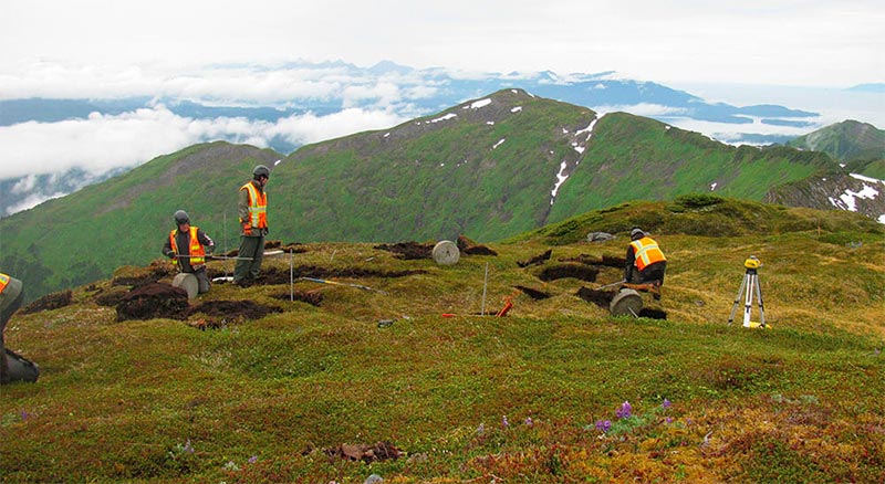 Ahtna workers working on the fields, with view of the mountains