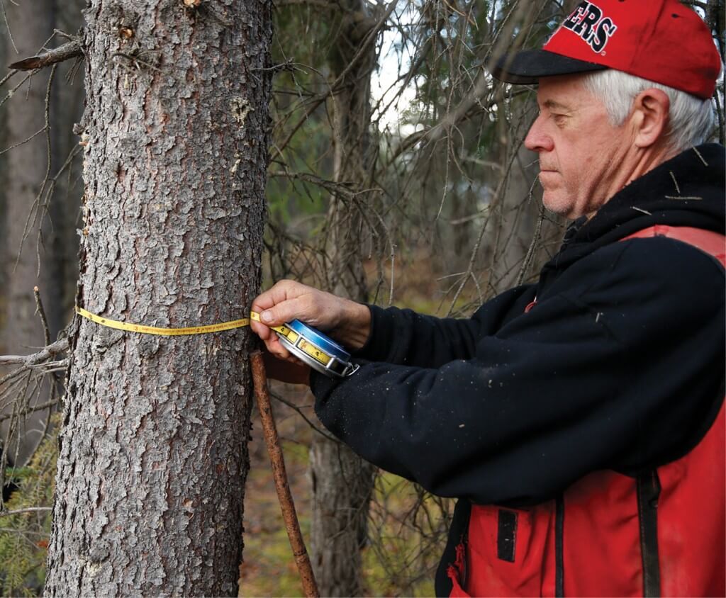NMI Timber Cruiser employee Steve Majors measures and marks trees.