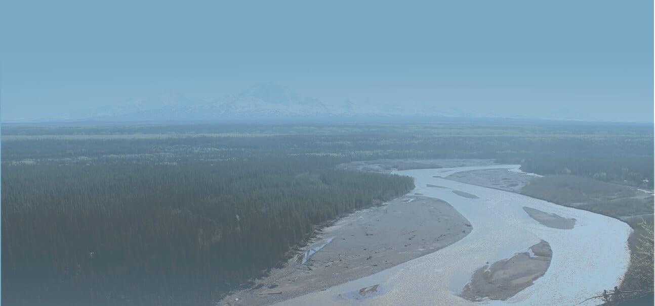 River scene with view of Denali