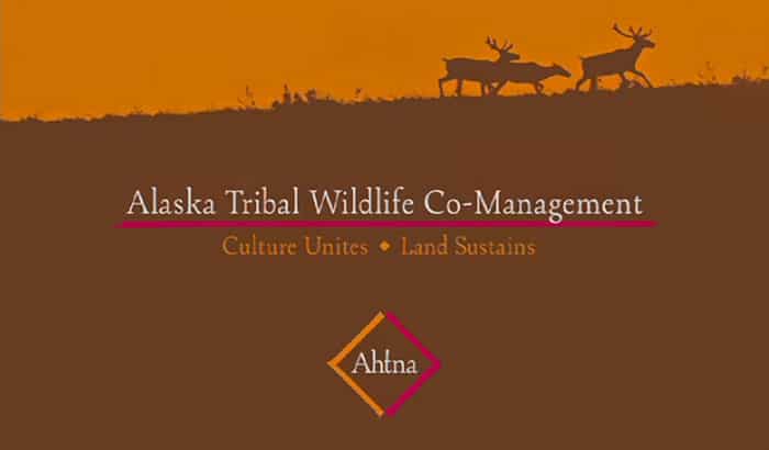 Alaska Tribal Wildlife Co-Management